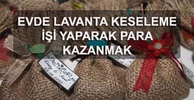 Lavanta Kesesi Dikme İşi