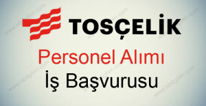 Tosçelik Personel Alımı ve İş Başvurusu Rehberi: Açık Pozisyonlar ve Kariyer Olanakları