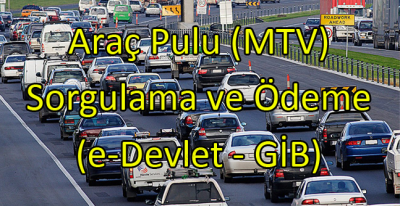 Araç Pulu Sorgulama Sayfası