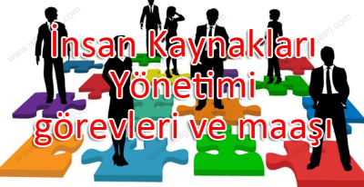 İnsan Kaynakları Yönetimi görevleri ve maaşı